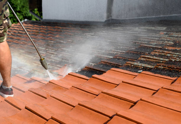 Best Deck Cleaning Services  in Otsego, MN