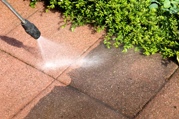 Best Roof Power Washing Services  in Otsego, MN